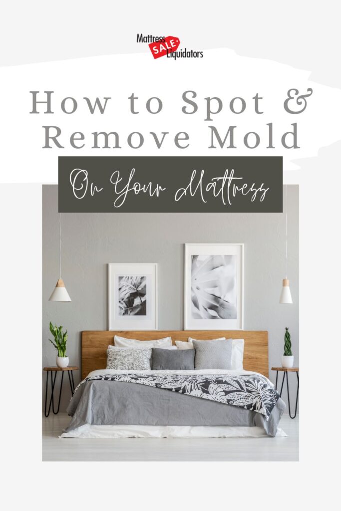 how-to-get-mold-out-of-san-diego-mattress