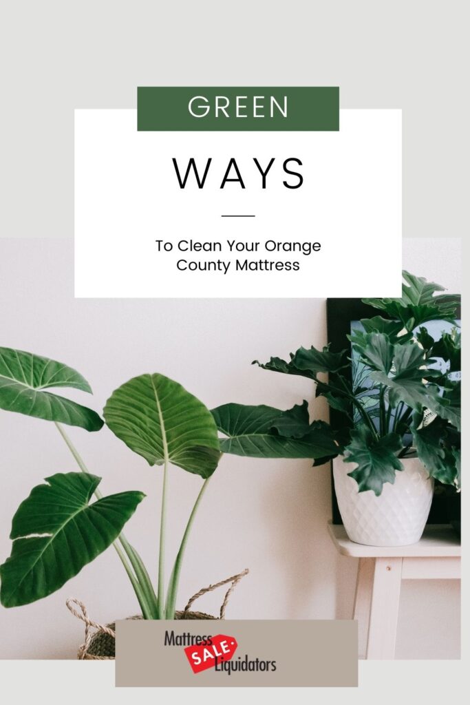 find-out-how-to-clean-orange-county-mattress