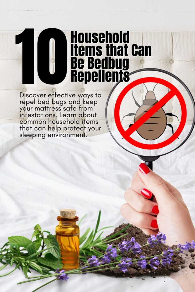 mattress-with-anti-bedbug-warning-blog-title-10-Household-Items-That-Can-Be-Bedbug-Repellents-pinterest